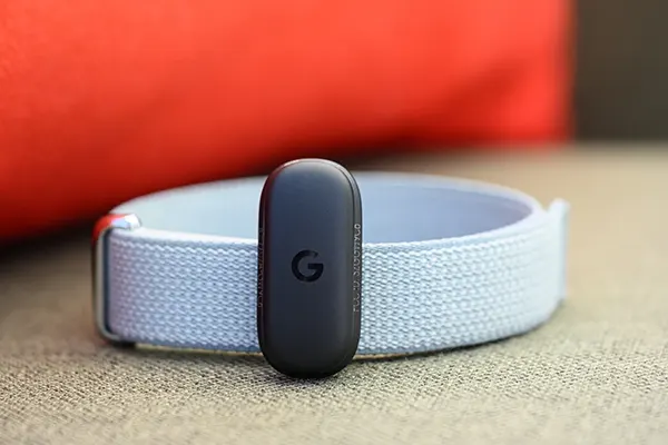 Google Fitbit Air